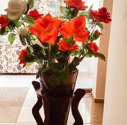 Kamchia Park 3* Nisipurile de Aur